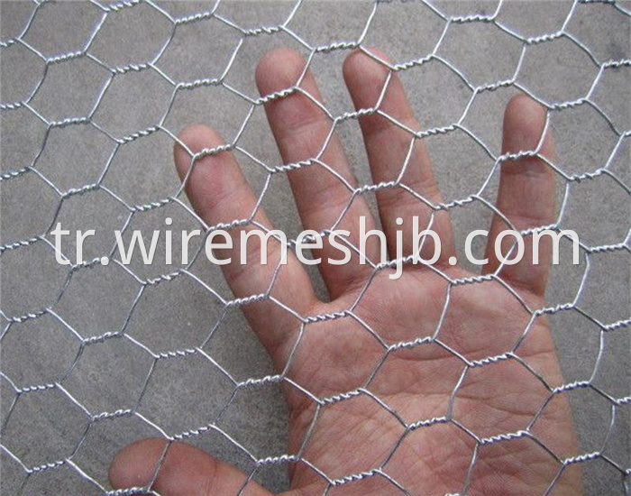 Galvanized Hexagonal Mesh